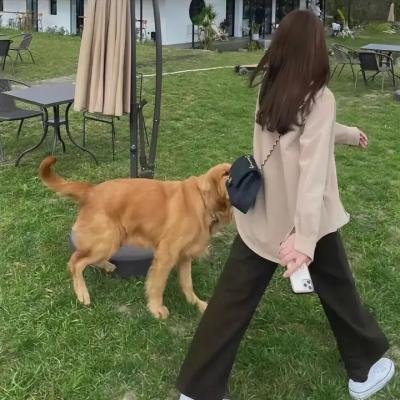家有儿女